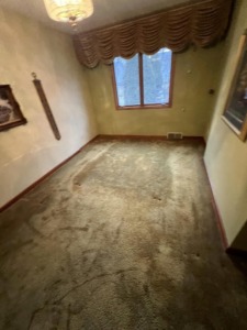 Debris and Junk Removal