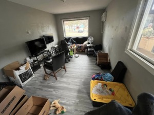 Debris and Junk Removal