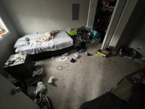 Debris and Junk Removal