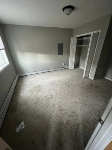 Debris & Junk Removal