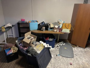 Residential junk/debris removal