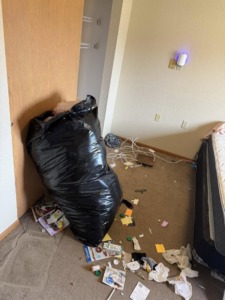 Full apartment pack and clean-out