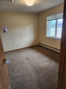 Full apartment pack and clean-out