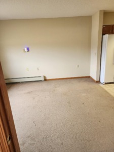 Full apartment pack and clean-out