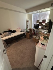 Junk and Debris Removal