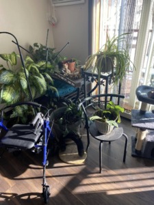 Junk and Debris Removal